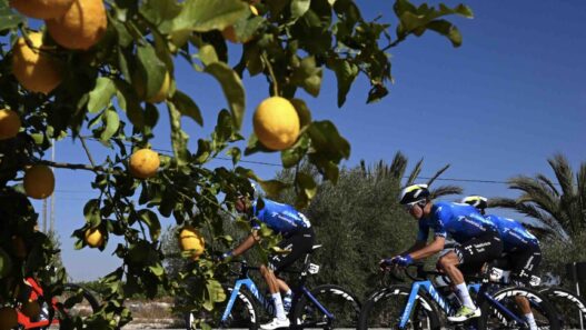 Movistar Team en stage à Valence du 7 au 17 décembre